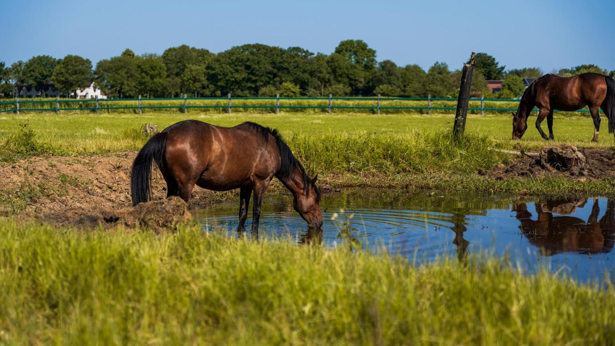 Auberge De Smockelaer Heijenrath Exteriér fotografie